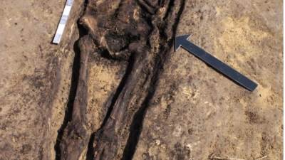 الكشف عن 20 مقبرة بمدينة دمياط الجديدة