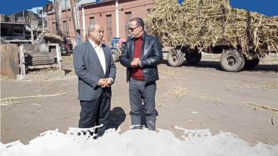 «التموين»: توريد 350 ألف طن قصب من المزارعين.. وإنتاج نحو 35 ألف طن سكر 