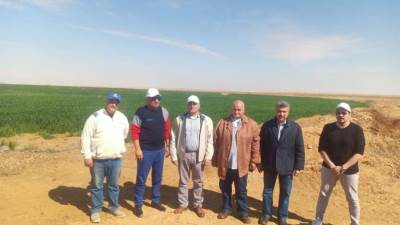 وزير قطاع الأعمال: التوسع في زراعة القمح وزيادة مساحته إلى 50% من إجمالي المساحة 