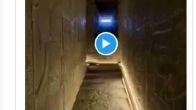 إيلون ماسك مغردا: مصر القديمة تتوهج.. ووزيرة التعاون الدولي: مصر ترحب بك