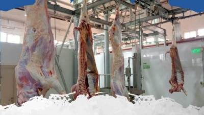 التموين تبدأ خطة الاستعداد لعيد الأضحى المبارك باستقبال 25 ألف رأس ماشية لضخها بالمنافذ