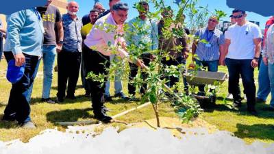 «بزراعة شجرة مثمرة».. رئيس جهاز المنصورة الجديدة يشارك سكان المدينة في احتفالية اليوم العالمي للبيئة 
