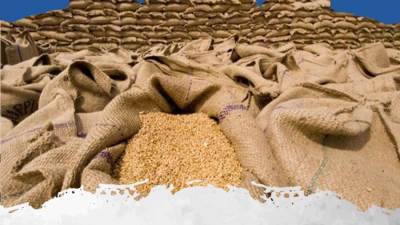 وزارة التموين: عودة العمل فى مراكز توريد القمح اليوم