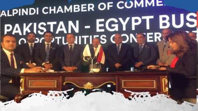 الدكتور محمود عصمت يفتتح مؤتمر فرص الأعمال بين مصر وباكستان 