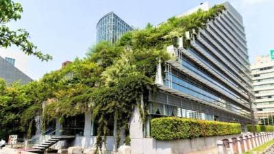 العمارة الخضراء.. مبادرة مصرية لبناء 25 ألف وحدة سكنية