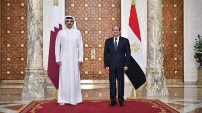 مصر وقطر تؤكدان رفضهما محاولات التهجير القسري وتصفية القضية الفلسطينية 