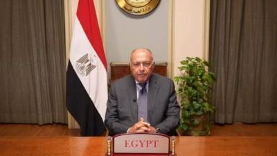 شكري :  الأزمات الأخيرة كشفت اختلال التوازن في الحوكمة الاقتصادية العالمية