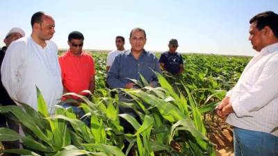 «الريف المصرى الجديد» تسلم 1300 شركة «كارت الفلاح»