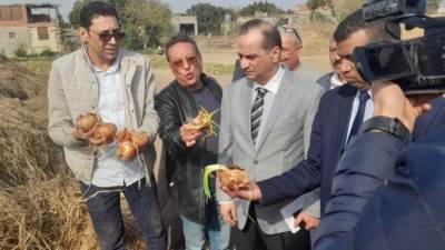 ضبط 2000 طن من تفاح الغلابة في ٣ محافظات «الجيزة والدقهليه والغربية»