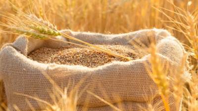 «السلع التموينية» تتعاقد على شراء 480 ألف طن قمح روسي