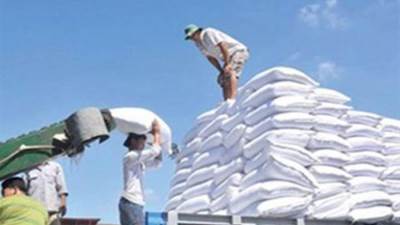 «التموين»تعتزم استيراد 500 ألف طن سكر حال هبوط الأسعار العالمية