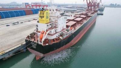 وزير النقل يعلن تسلم شركة الملاحة الوطنية سفينة وادي العريش