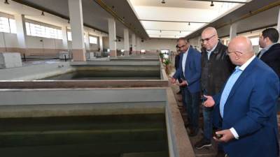 «الجزار» يتفقد محطة تنقية مياه الشرب بالأميرية