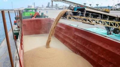 ميناء دمياط يستقبل 6130 طن قمح لصالح القطاع الخاص