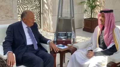 شكري يعقد اجتماعاً ثنائياً مع رئيس مجلس الوزراء وزير خارجية دولة قطر