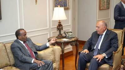 وزير الخارجية يستقبل القائم بأعمال وزير خارجية الصومال في القاهرة