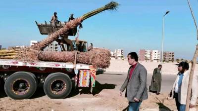 «عبد اللاه» يستعد لاستقبال موسم الربيع بمتابعة أعمال الزراعة بـ«طيبة الجديدة»