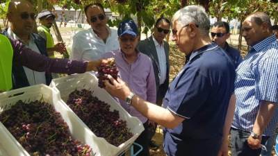 وزير الزراعة يتفقد احدى محطات ومزارع التصدير بالنوبارية