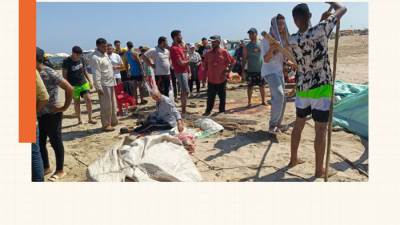 جهاز دمياط الجديدة يحذر من إقامة خيم عشوائية على الشاطئ