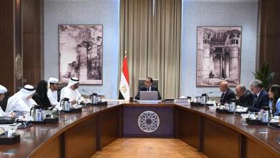 مدبولي يبحث مجالات التعاون بين مصر والإمارات في ملف الطاقة المتجددة