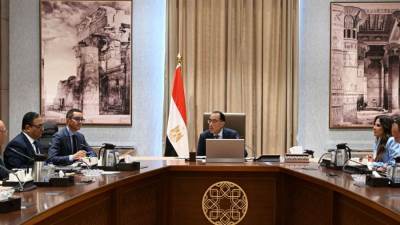 رئيس الوزراء يلتقى رئيس شركة هاير مصر