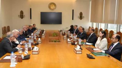 وزير الخارجية والهجرة يلتقى مع أعضاء المجلس المصري للشئون الخارجية