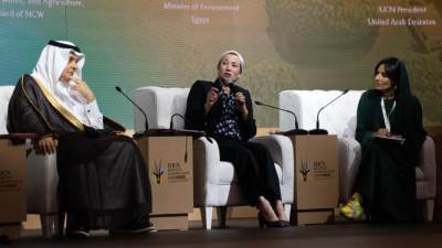 وزيرة البيئة تشارك فى الجلسة الخاصة بالرؤية الاستراتيجية والخطة المالية