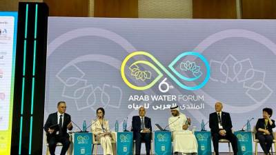 وزير الري يشارك في جلسة معالجة تحديات المياه الإقليمية