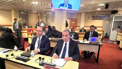 وزير الخارجية والهجرة يشارك في الاجتماع الوزاري لمجلس السلم والأمن الأفريقي