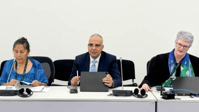 وزير الري يشارك فى جلسة تحقيق الحوكمة المستدامة للمياه