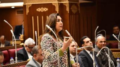 وزيرة التنمية المحلية تناقش مشروع قانون بعض قواعد وإجراءات التصرف فى أملاك الدولة الخاصة