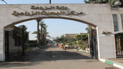 مركز البحوث الزراعية يحتل المرتبة الثالثة في تصنيف سيماجو بالشرق الأوسط وأفريقيا