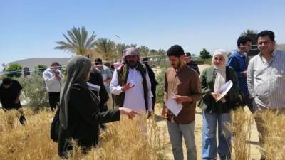 مركز بحوث الصحراء يقود نهضة زراعية وتنموية متكاملة في سيناء