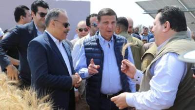 وزير الزراعة ومحافظ الشرقية يفتتحان موسم حصاد القمح بالمحافظة