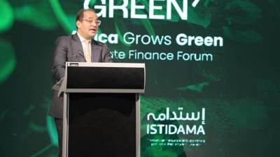 كجوك: الحكومة طرحت للقطاع الخاص خطة طموحة جدًا للاستثمار فى مشروعات الطاقة الجديدة