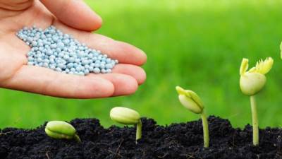 الزراعة: استمرار صرف الأسمدة بالجمعيات الزراعية وفقًا لمنظومة كارت الفلاح