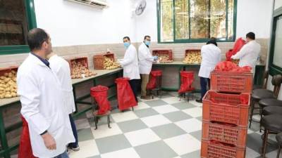الزراعة: فحص 1.3 مليون طن بطاطس مائدة معدة للتصدير إلى الخارج