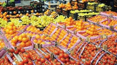 صادرات مصر الزراعية تتجاوز 6.2 مليون طن منذ بداية العام