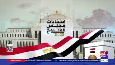 اليوم.. بدء التصويت على انتخابات مجلس الشيوخ للمصريين في الخارج بـ 90 سفارة