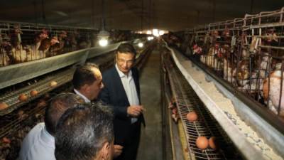 وزير الزراعة: الدولة اتخذت العديد من الإجراءات لتحسين مناخ الاستثمار