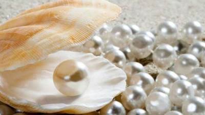 بـ 3.2 مليار دولار.. اللؤلؤ على رأس صادرات مصر للإمارات