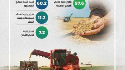 وزير المالية: ٥٧,٦ مليار جنيه لدعم القمح المحلى و٦٠,٢ مليار للمستورد