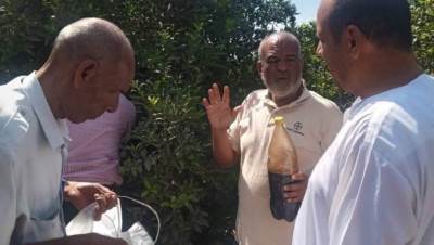 د. أحمد رزق: أسعار المبيدات تعادل 7 أضعاف عناصر المكافحة الحيوية