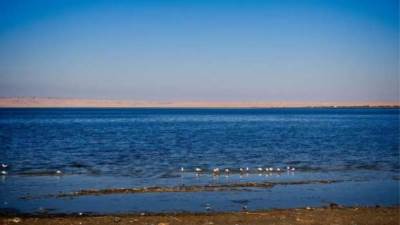 "حماية وتنمية البحيرات" يختتم مشروع دعم بحيرة قارون بيرقات الجمبري