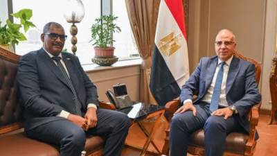 وزيرا الري المصري والسوداني يناقشان موقف السد الإثيوبي