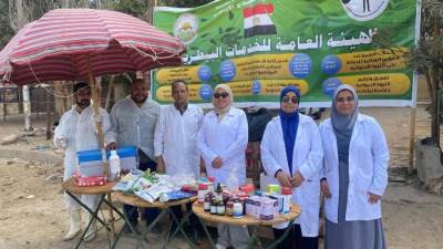 محافظة الجيزة: قافلة علاجية مجانية للخيول والإبل بمنطقة الأهرامات