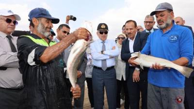 توريد مليون و550 ألف زريعة دنيس من أسبانيا في أسبوعين