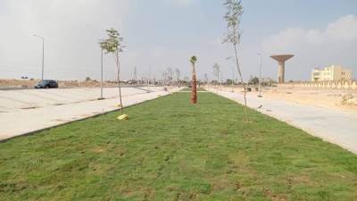 أجهزة بني سويف الجديدة والعبور والشيخ زايد تواصل أعمال الطرق والتشجير