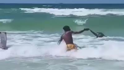 طوله متر.. العثور على تمساح بمنطقة أبو تلات بالإسكندرية