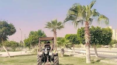 رئيس جهاز بني سويف الجديدة يتابع أعمال زراعة وتشجير المسطحات الخضراء